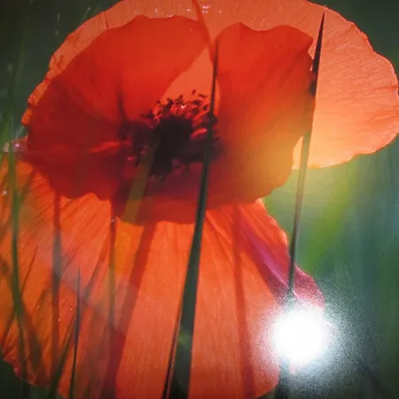 Palacio De Asturias 3*