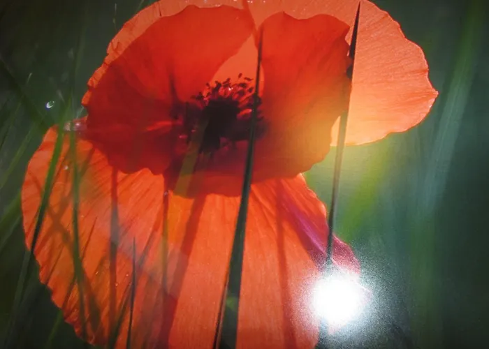 Palacio De Asturias 3*